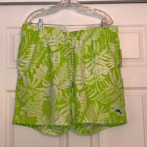 Tommy Bahama Naples Painterly Palm Trunks, 6" XL
